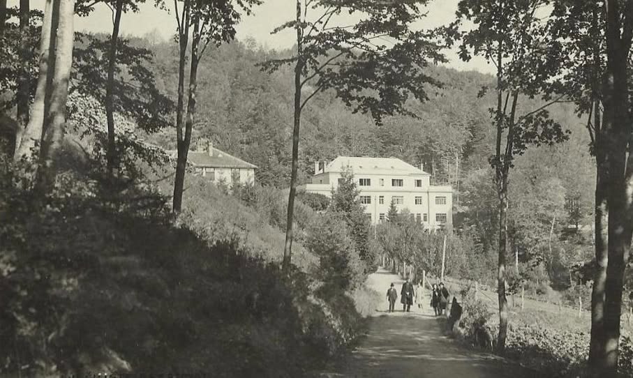 Sljeme. Lječilište Brestovac 1933. godine